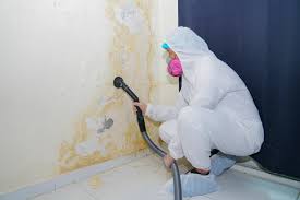 Best Water Damage & Mold Remediation  in Tyndall, SD